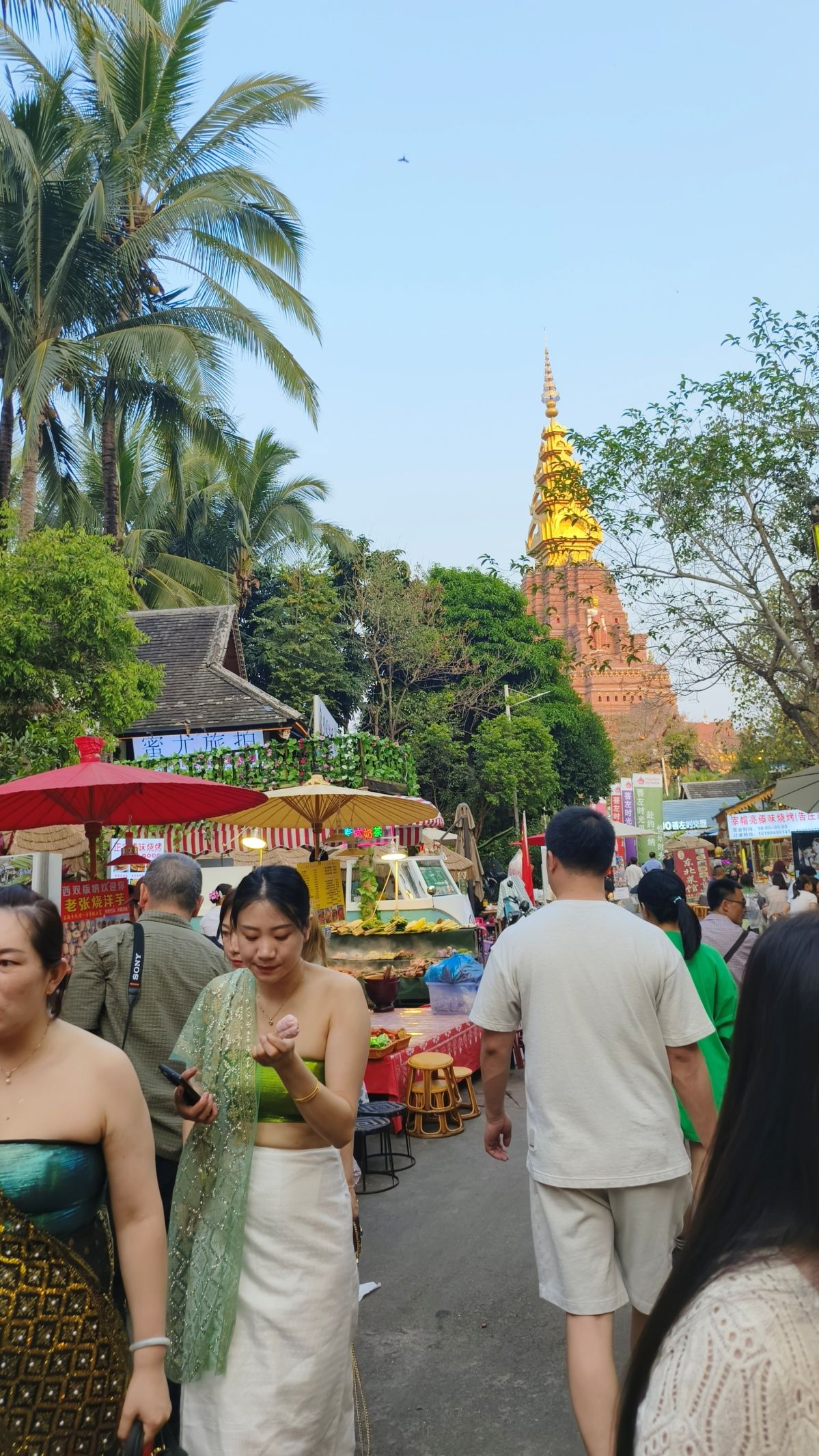 弥勒至西双版纳自驾游攻略,云南到西双版纳自驾游攻略