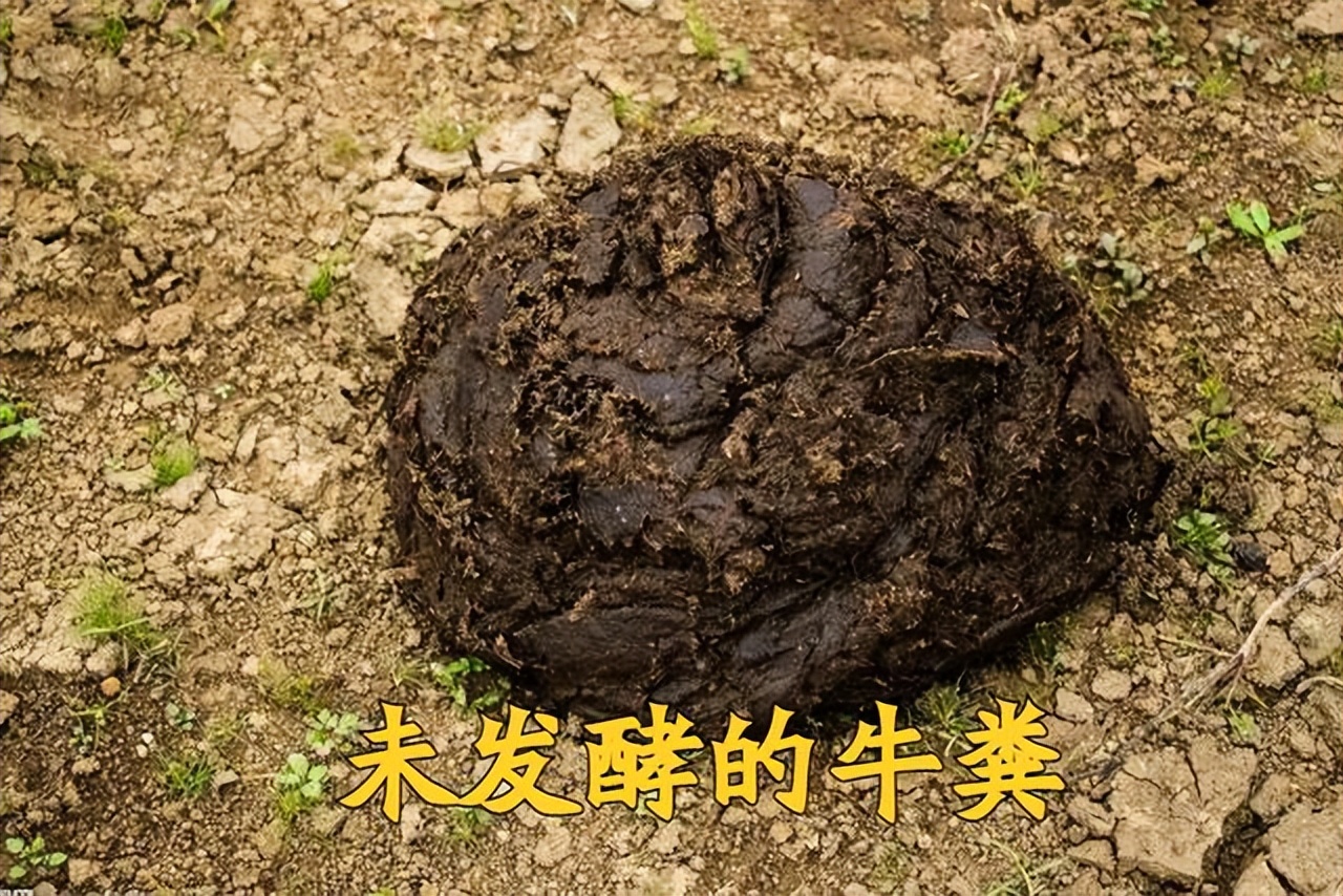 粪是不是氮肥,粪和肥料有什么区别