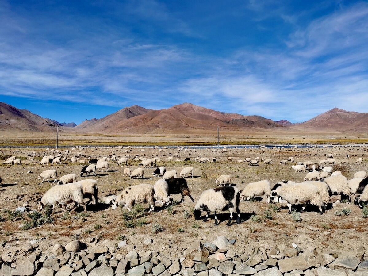 晚上起夜十多次尿不尽怎么办,老是频繁起夜小便是肾不好吗