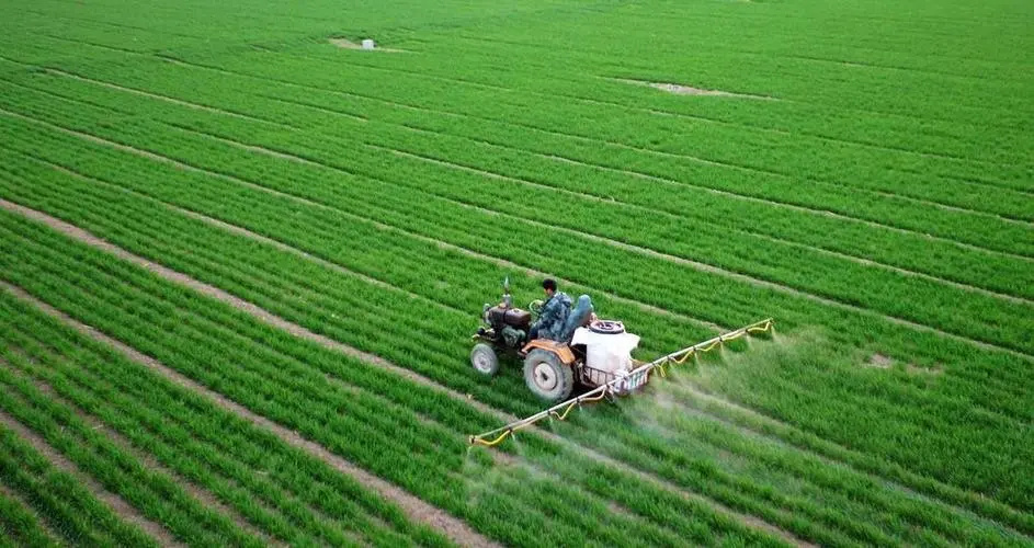 澶╂触鏉戦┈鐏簡,澶╂触鏉戦┈