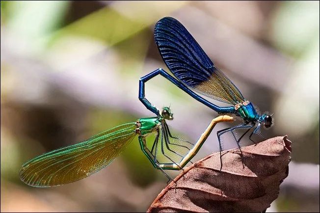 100幅经典摄影作品欣赏,100幅精品摄影图