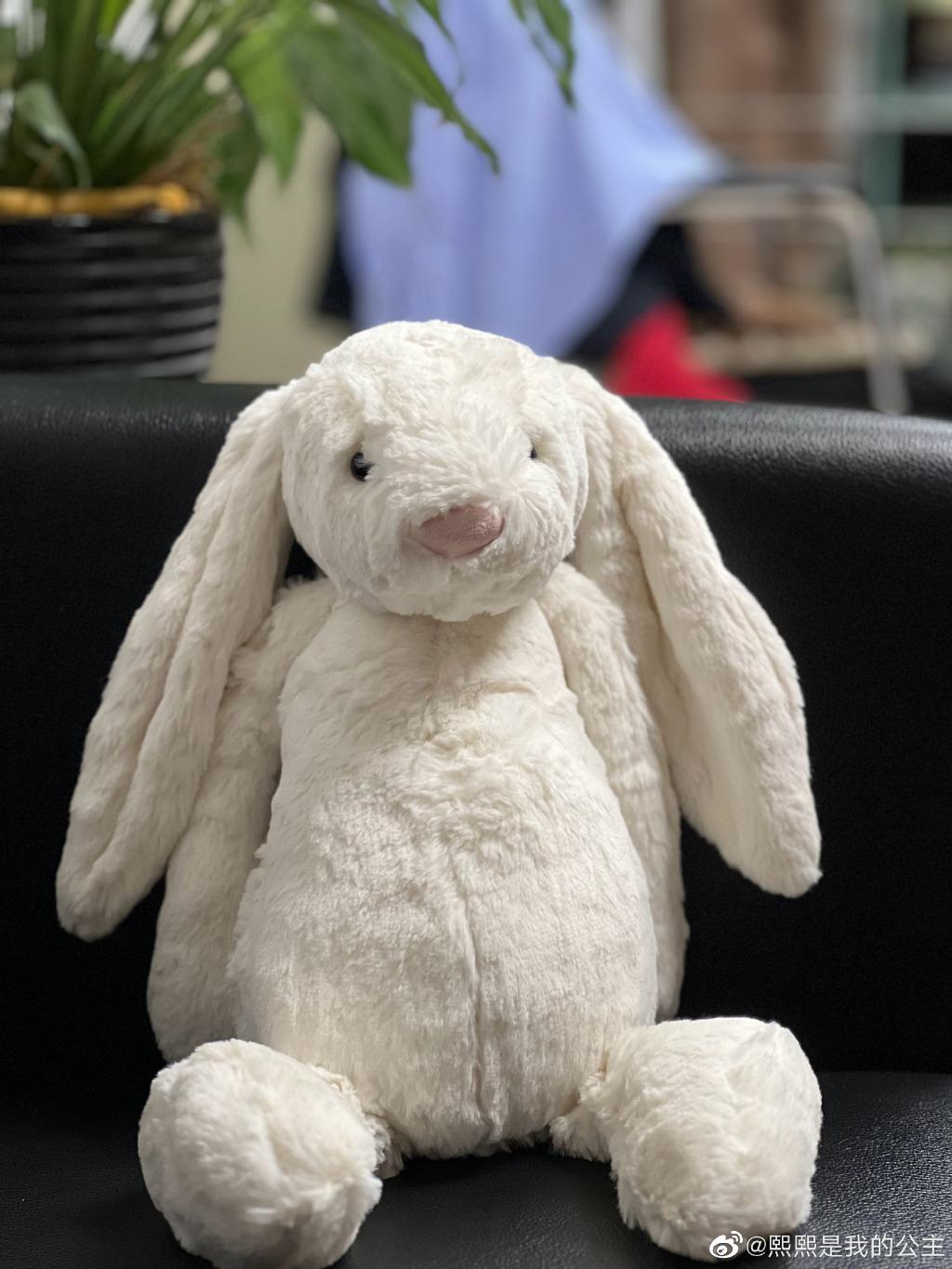 这只来自英国的兔子，简直让明星们爱惨了！