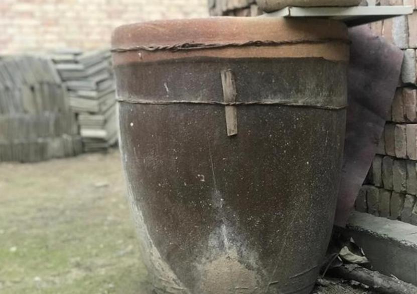 骆玉笙何时去世,骆玉笙晚年生活视频