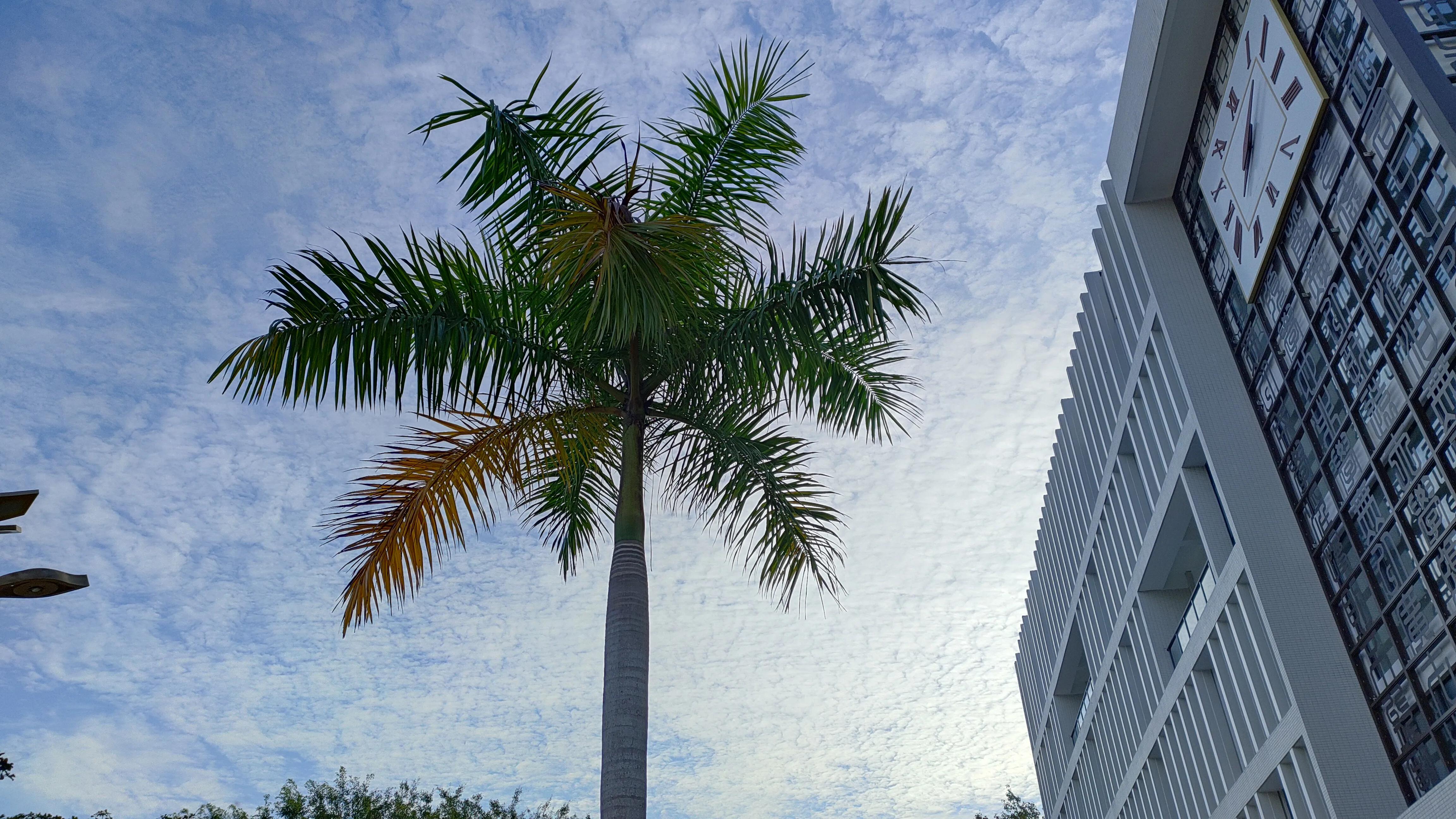 生物选择性必修一稳态与调节,生物高一必修一免费教学视频