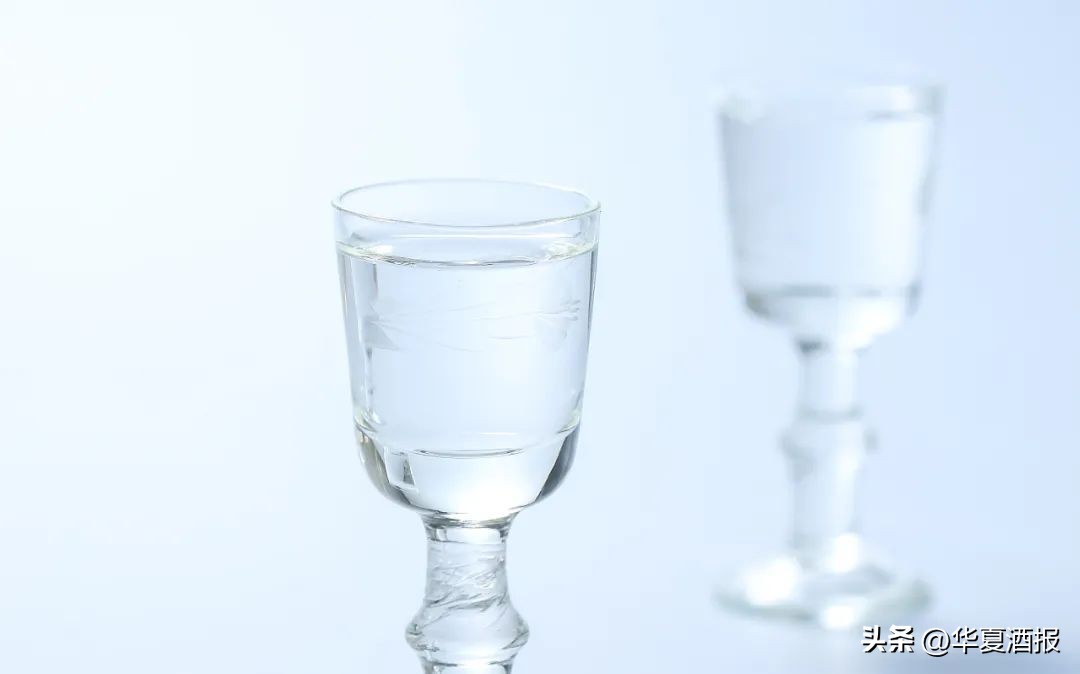 在德国、澳大利亚、韩国、俄罗斯······他们怎么看待中国白酒？