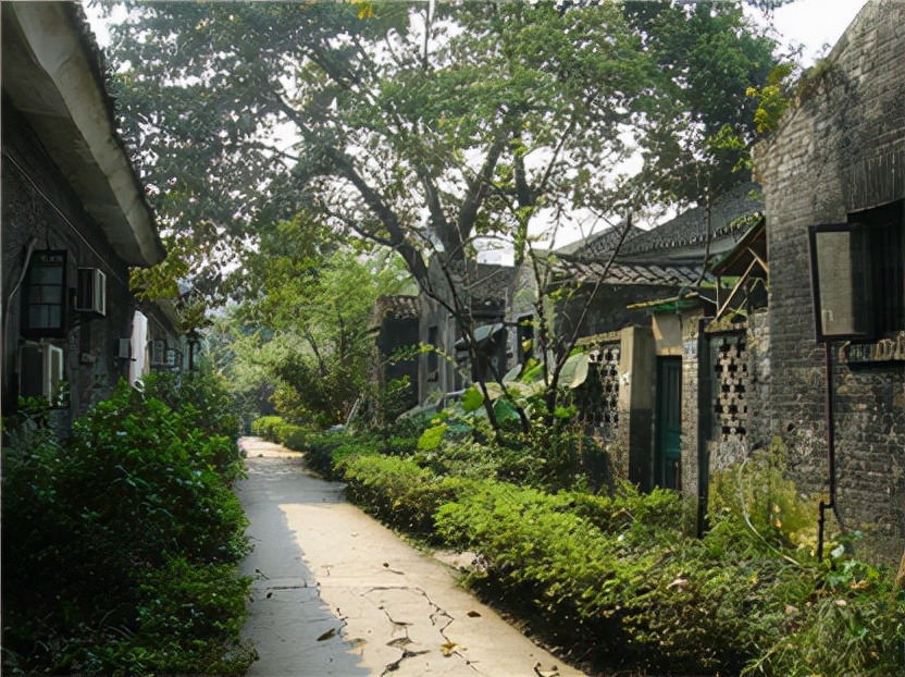 天津南开记忆,南开区回忆