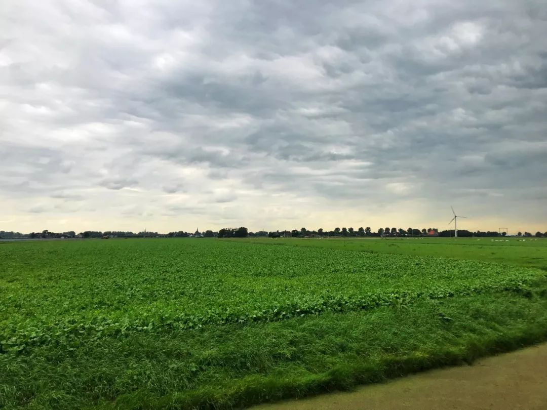 开车去欧洲第23集:在阿姆斯特丹*灯区红**,2名荷兰壮汉挑衅被我怼