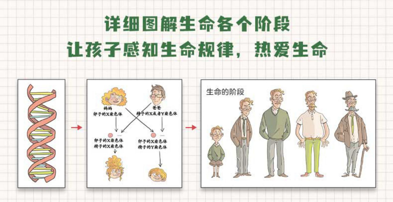 孩子开智要读什么书,不用担心孩子学习的方法