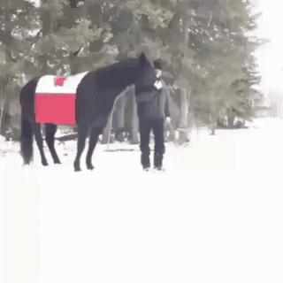 女朋友过生日送七夕礼物,女朋友送我生日礼物感动哭了