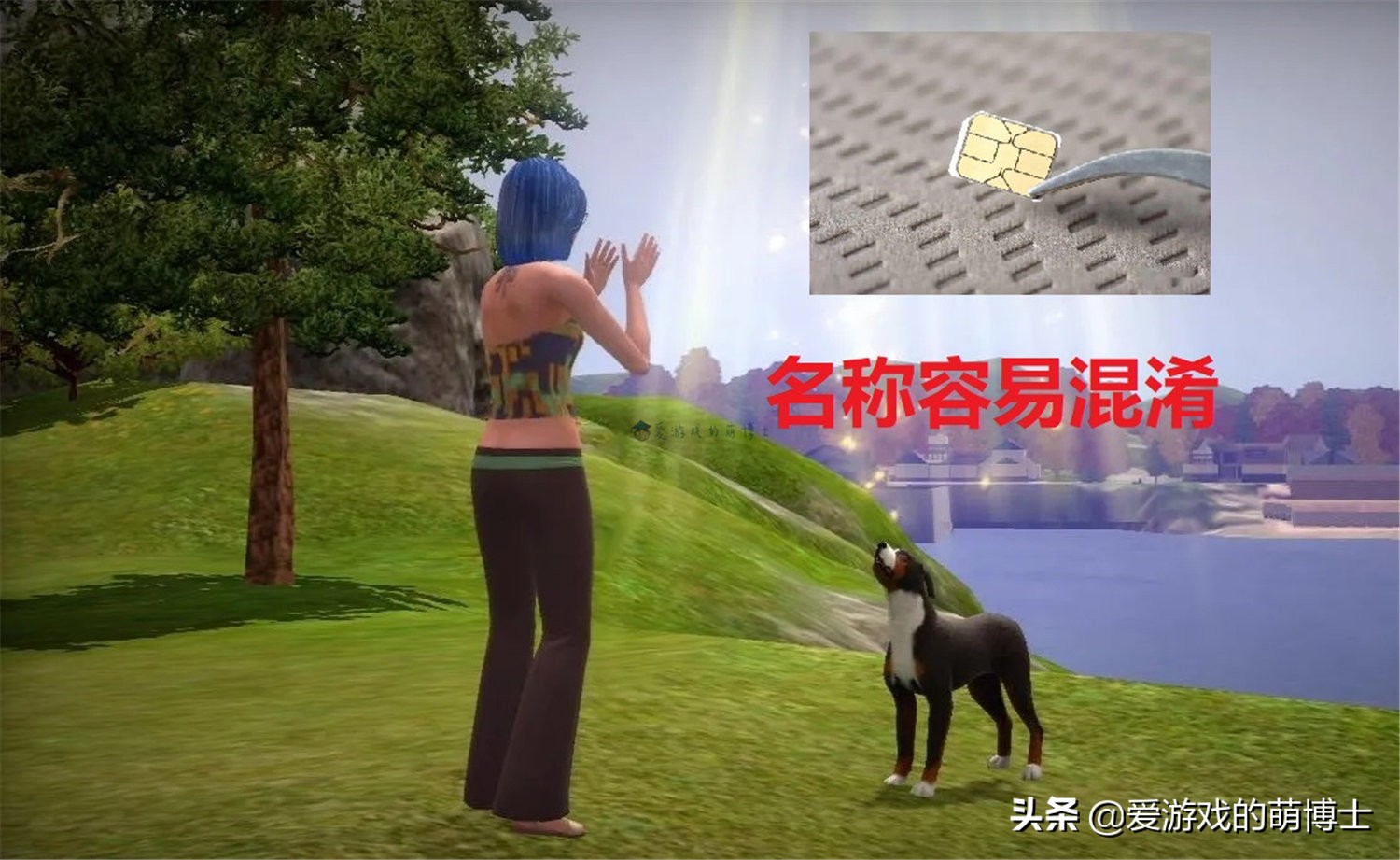 手机卡和《模拟人生3》傻傻分不清楚？俄罗斯探员闹出了大笑话