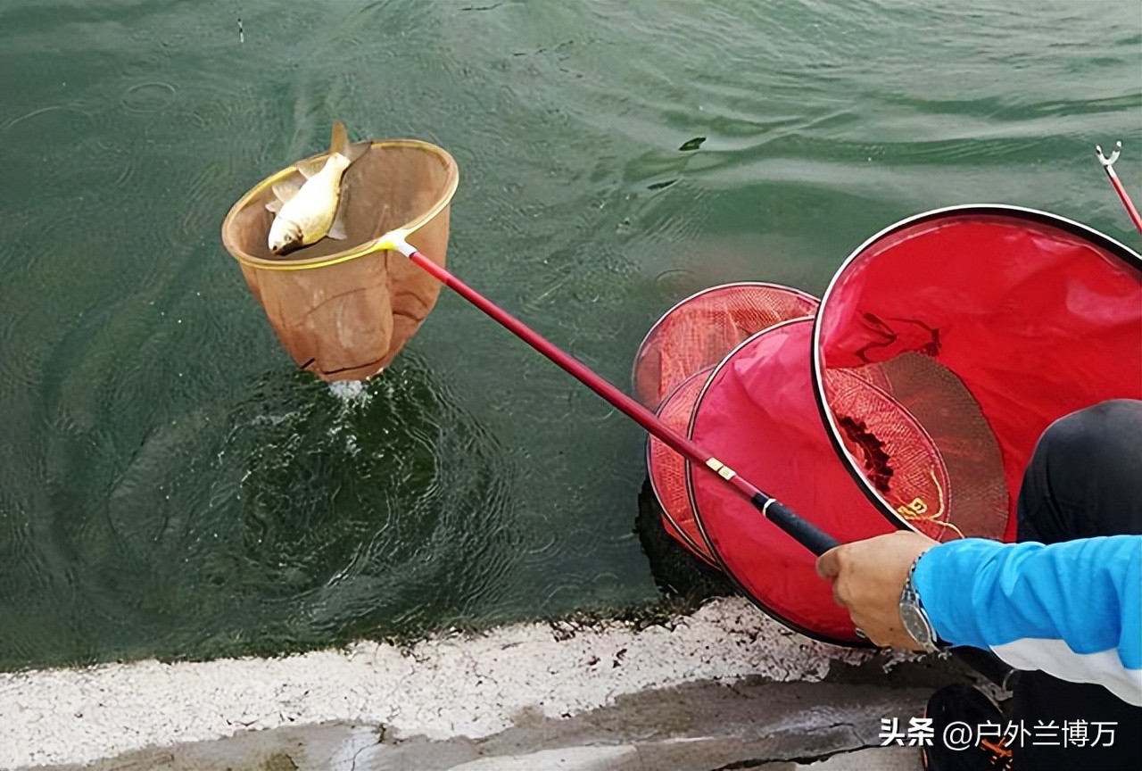 黑坑钓鲤鱼的正确调漂方法,钓黑坑鲤鱼长浮漂好还是短浮漂好