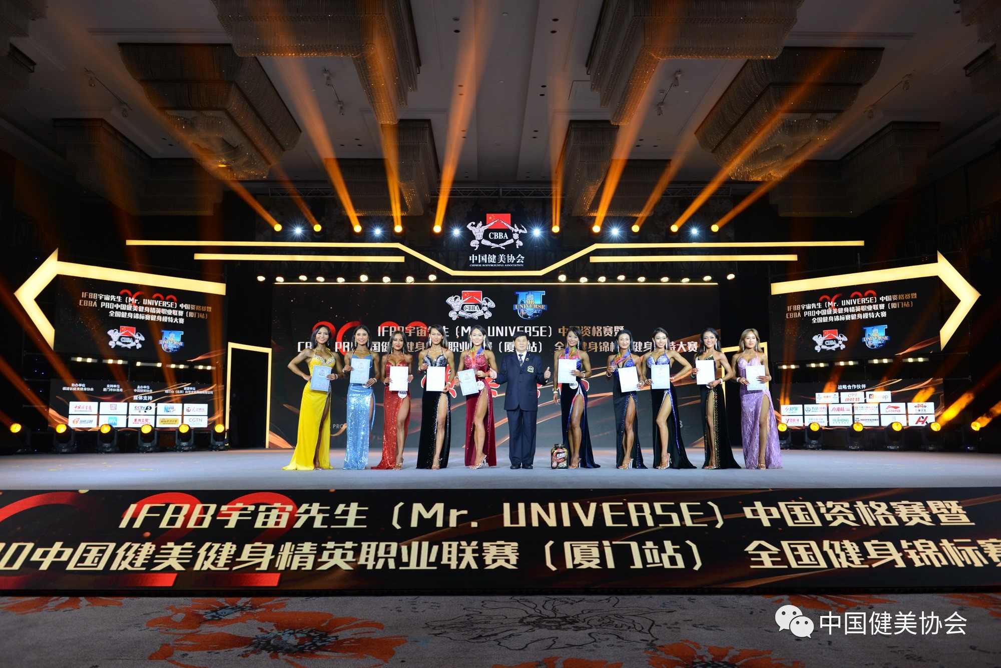 龙腾虎跃大展宏图一鸣惊人,龙腾虎啸凌云志