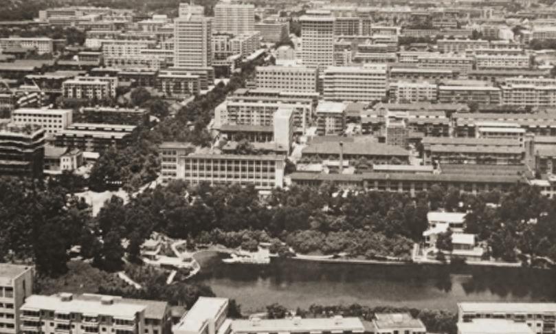 丈夫把情人安排进家里当保姆,老公把情人请回家当保姆