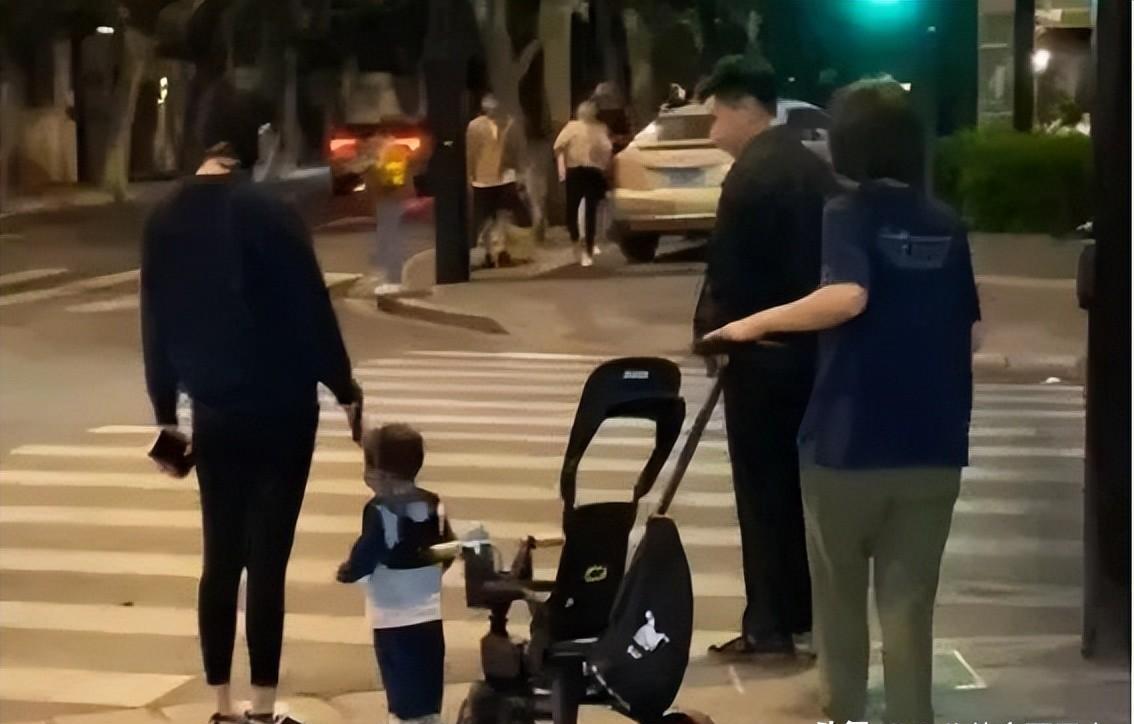 豪门清流与育儿知识,豪门育儿实例视频