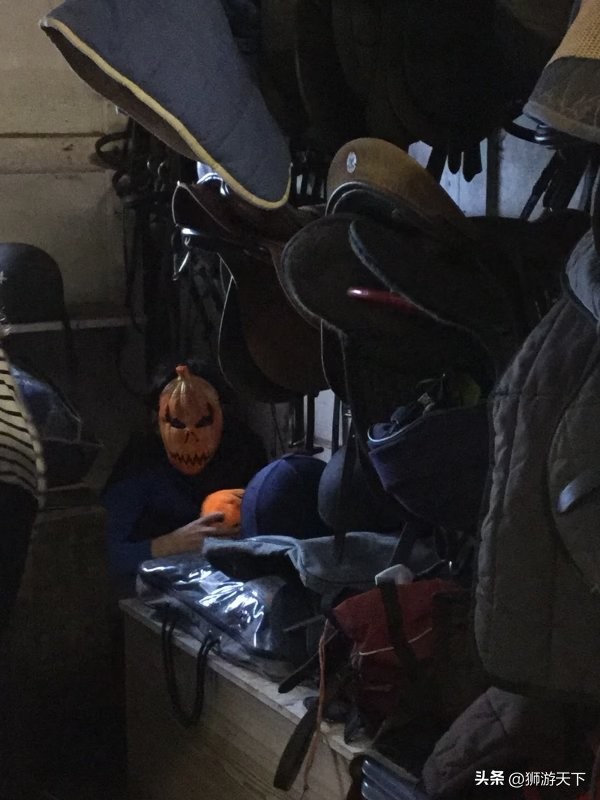 英国陪读活动,英国陪读的日常