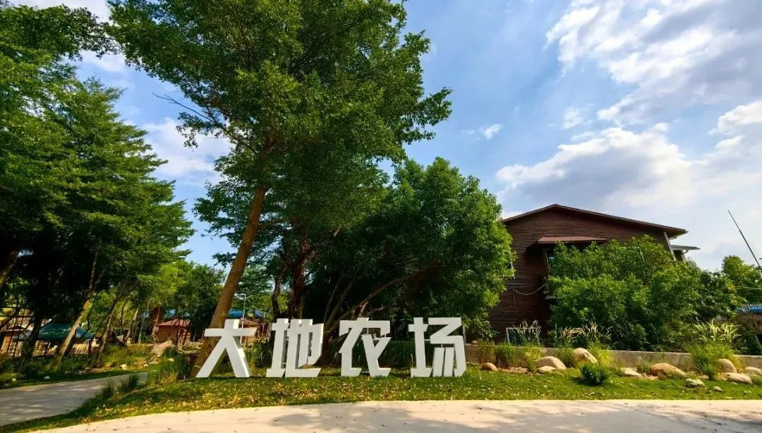 鼓浪屿可以当天预订船票攻略 (鼓浪屿还有免费的船票吗)