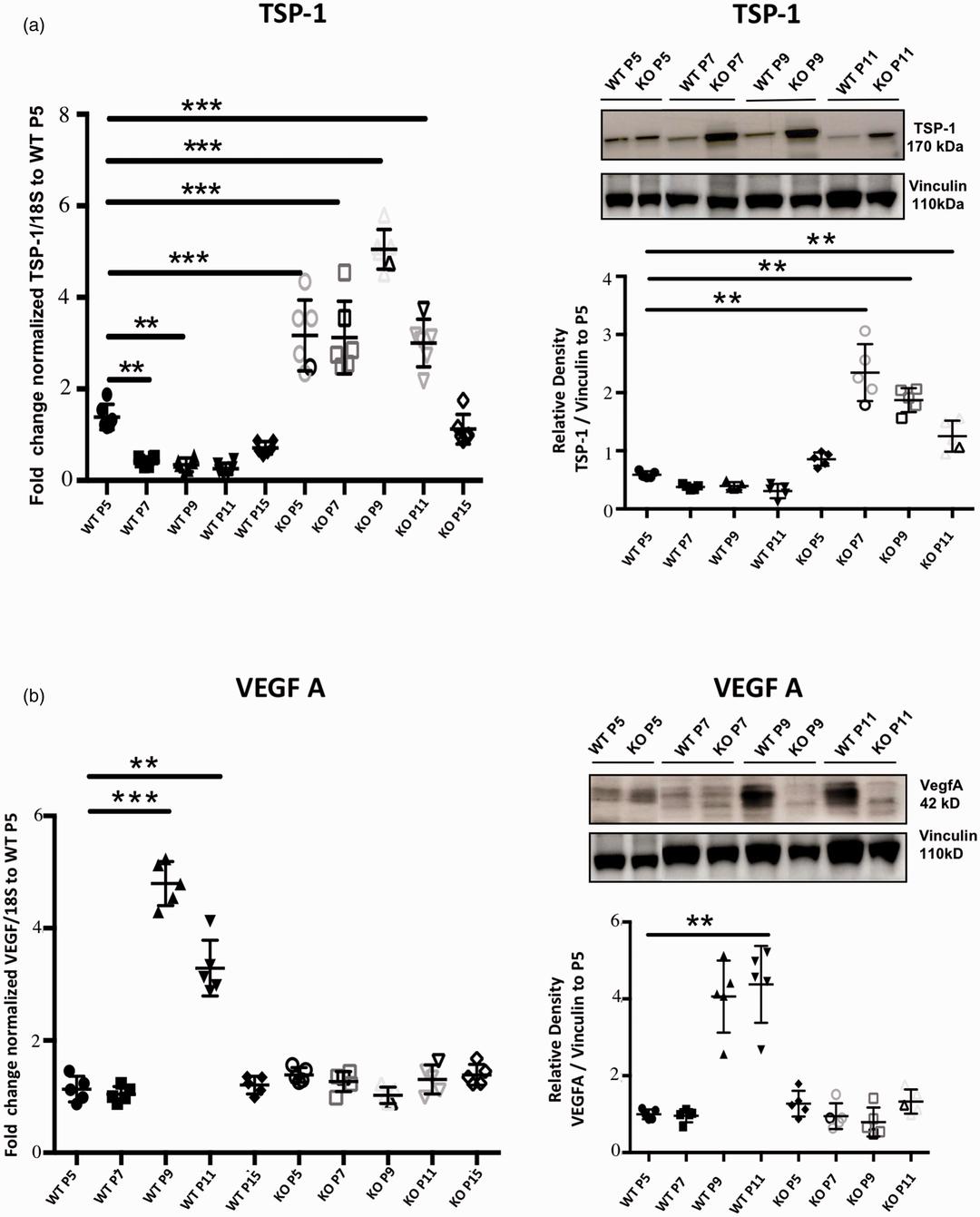 誉嘉医学文献分析｜新生儿缺氧缺血性脑损伤后还可以恢复吗？能