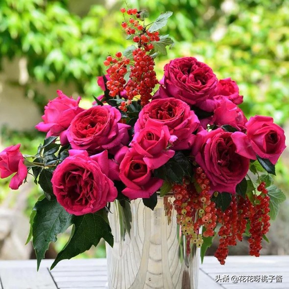 黄色月季哪个品种耐热耐晒抗病强,最耐热耐晒的切花藤本月季品种