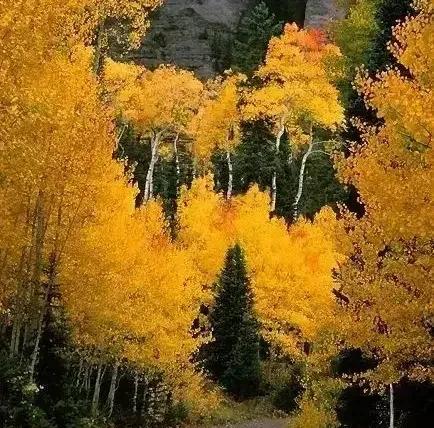 周易解读8,白话易经和易经有什么不同