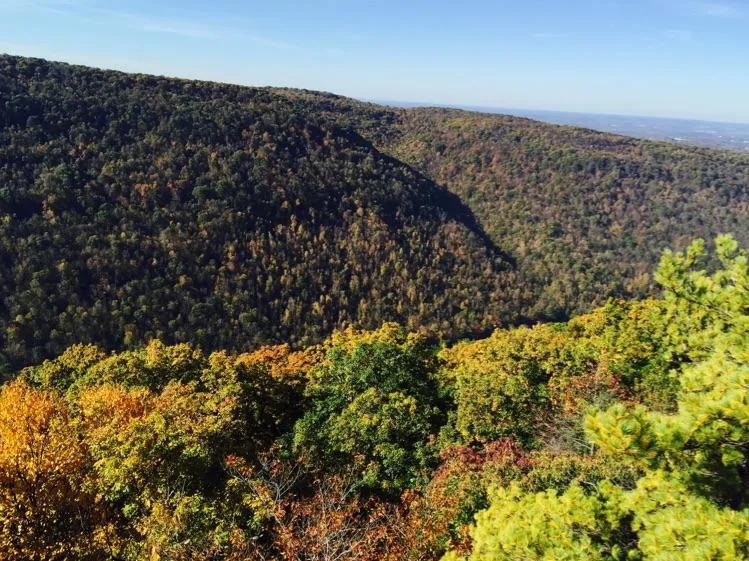 美国各州gdp排名及州府,美国50大城市GDP排名2020年