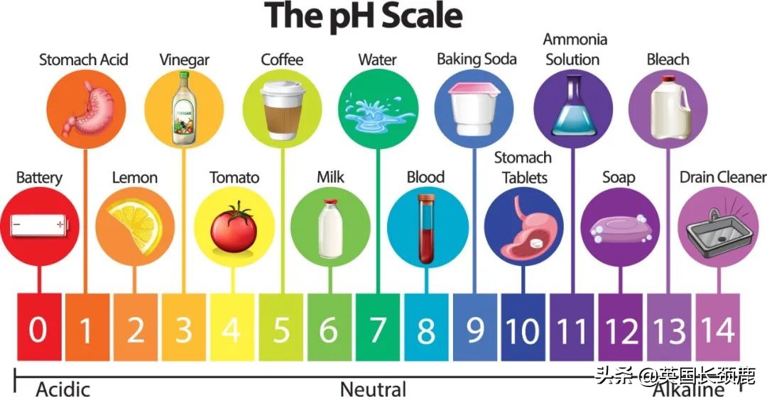 英国秃头和水有关系吗,在英国怎么预防秃头