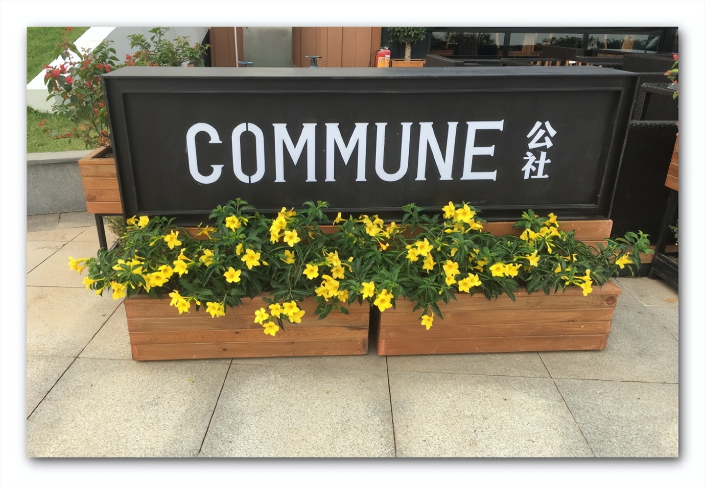 珠海野狸岛最新消息,珠海野狸岛有住宿吗