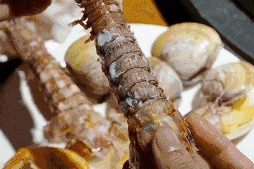 秦皇岛海鲜大比拼,秦皇岛一年四季的时令海鲜表