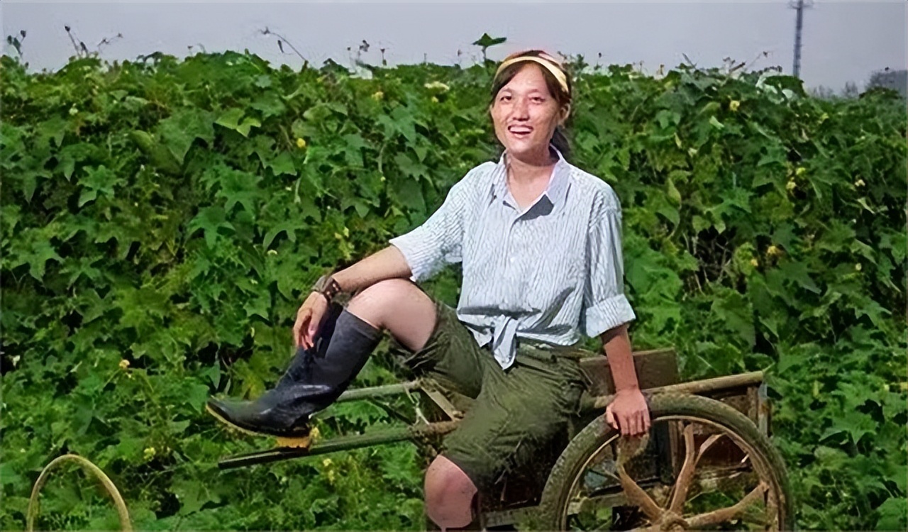 农村女博士靠种地年收入800万,清华女博士种地十一年收入八百万