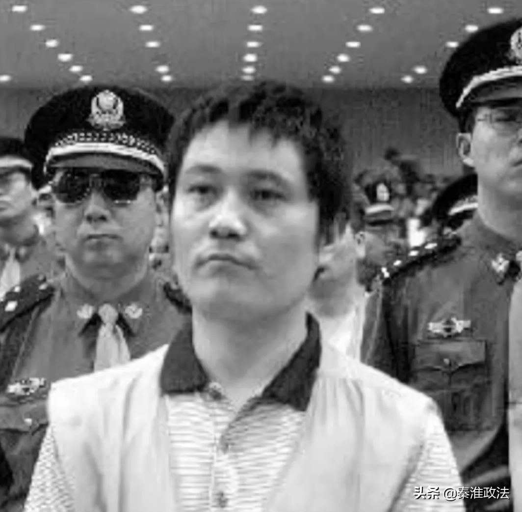 陕西郑卫国涉黑案,长安县郑卫国集团覆灭记小说