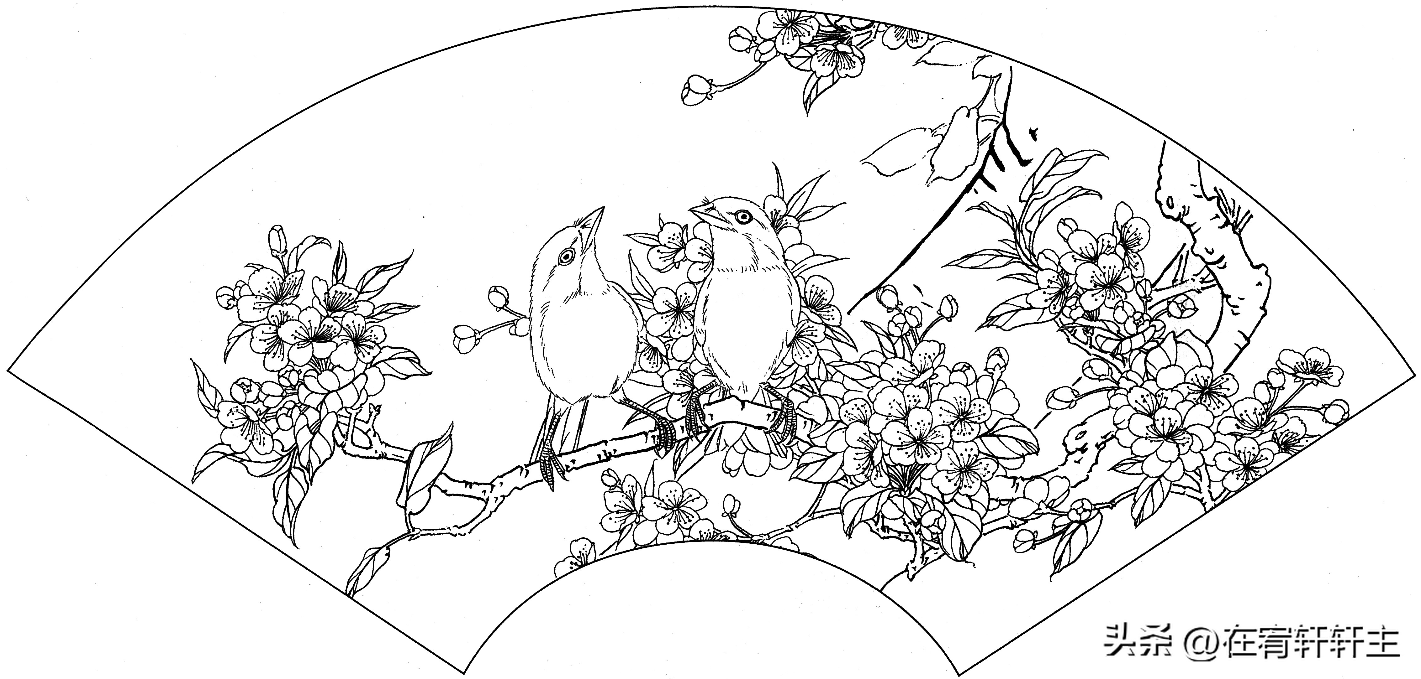 工笔白描祥云图案扇面,工笔扇面葡萄白描图片