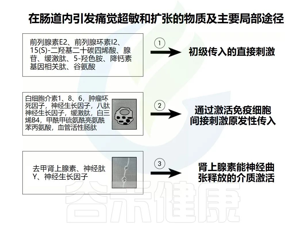 胃胀腹胀腹痛检查均正常,胃胀疼下腹疼喉咙有异物感