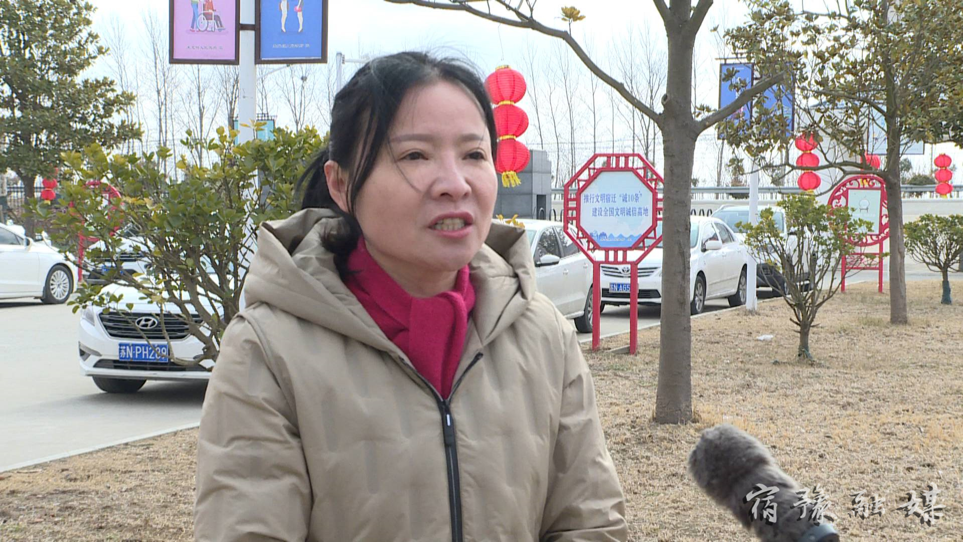 来龙小城镇建设,来龙镇城市项目