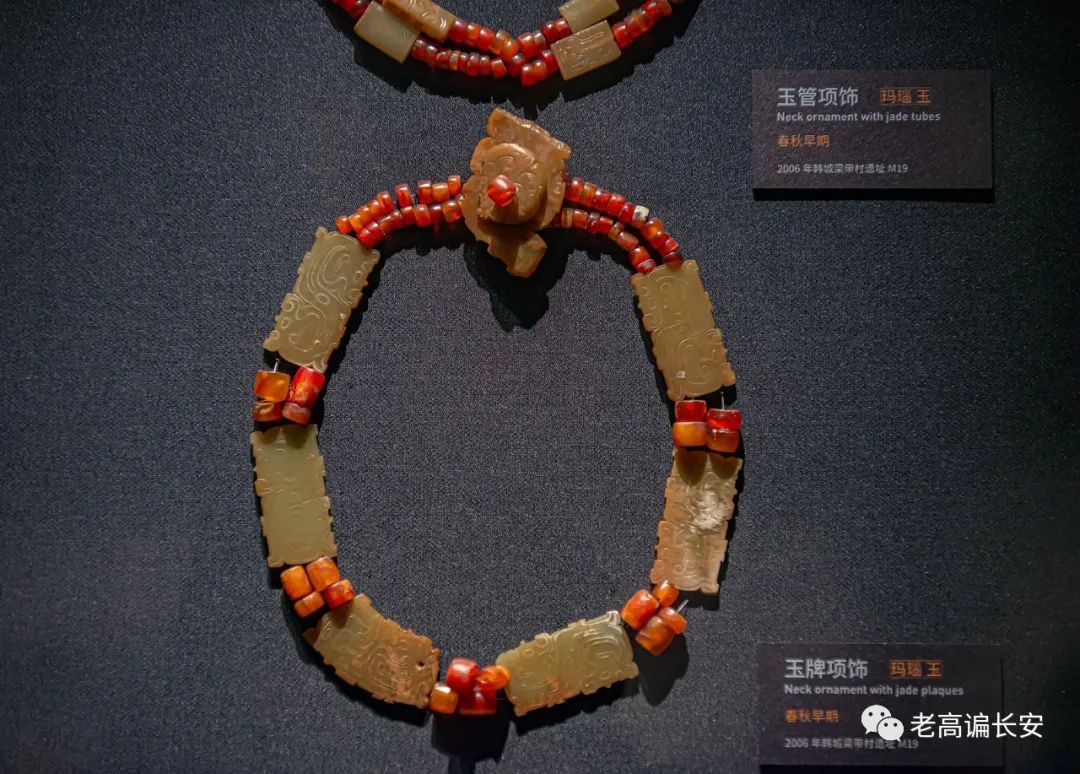 假期参观陕西考古博物馆,陕西考古博物馆开馆直播