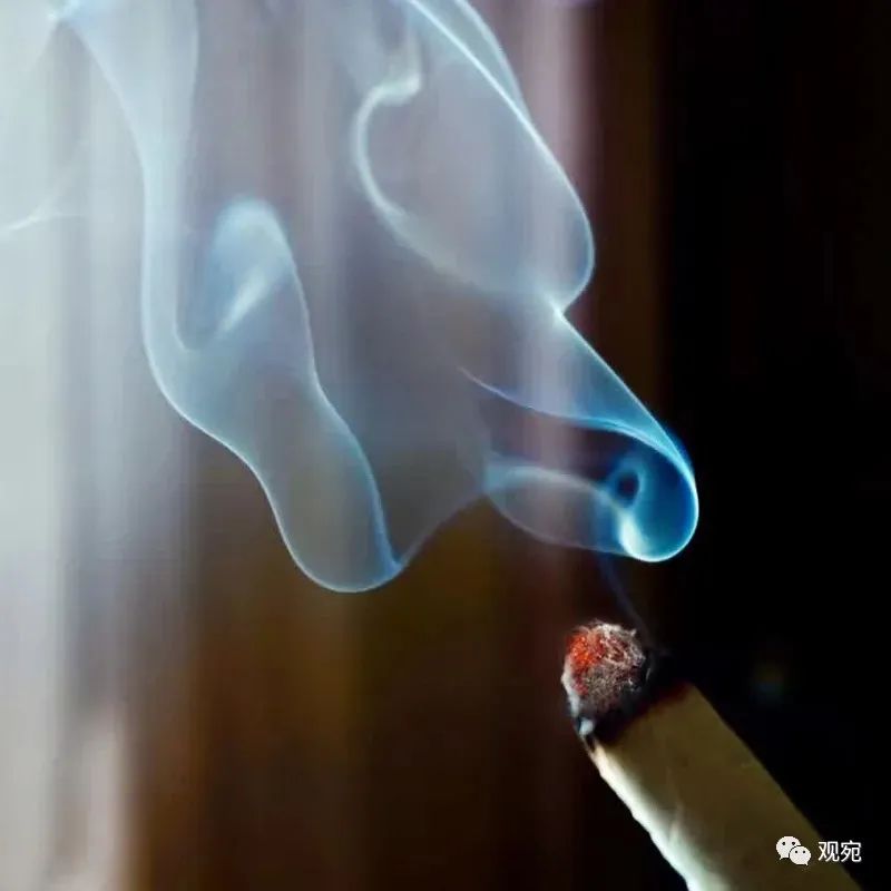 艾烟浓度太高对身体好吗,艾烟烟雾净化