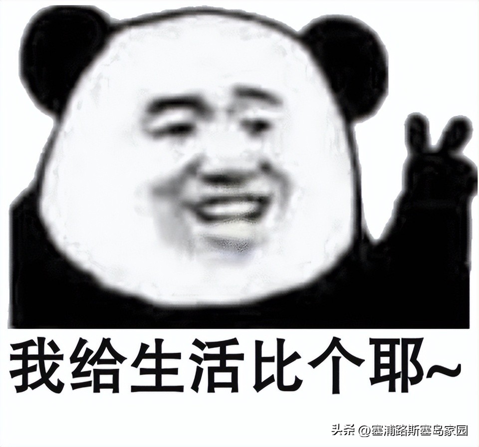 塞浦路斯软件,塞浦路斯都用什么软件