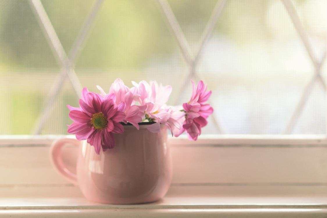 摩羯座属牛2023年运势,苏珊米勒2023年12月运势摩羯座