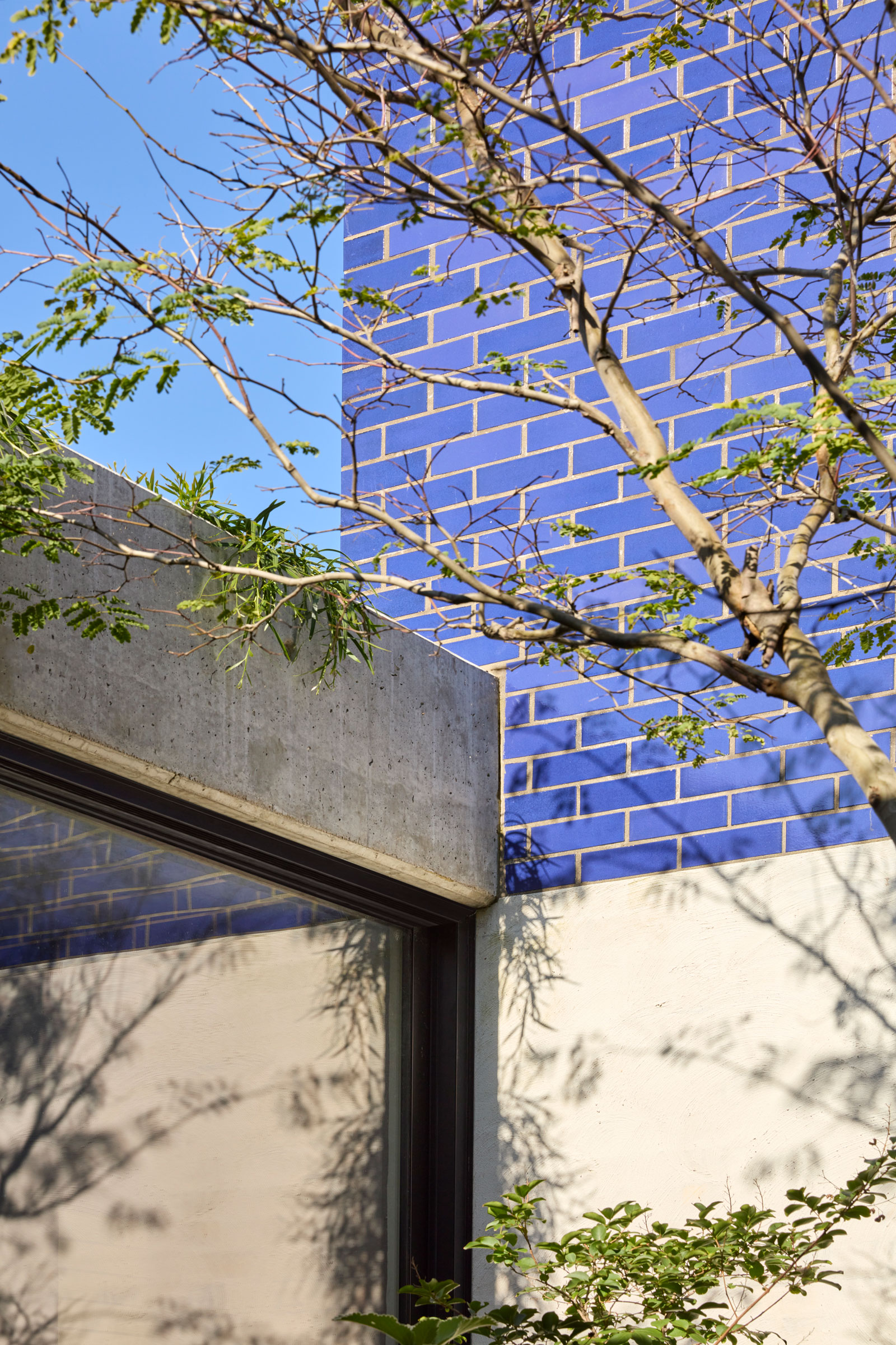 工作室漫游和IOTA：吉米的家