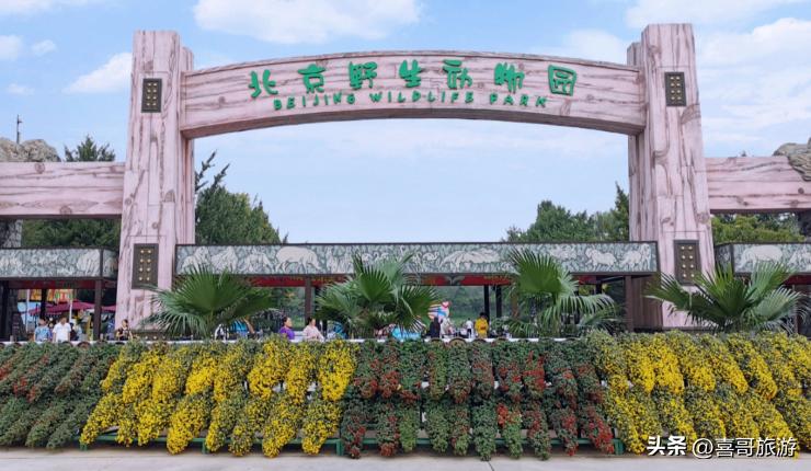 北京旅游攻略5日游最佳方案,北京5日游纯玩团价格