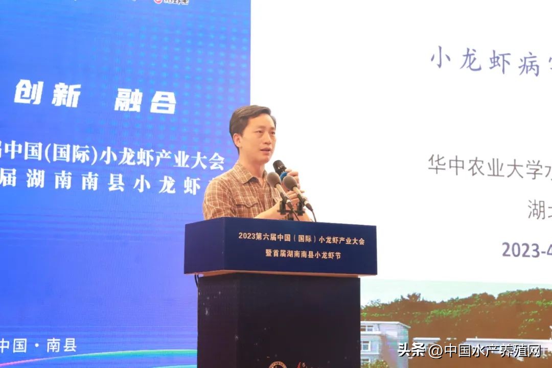 2023年南县小龙虾价格行情,南县小龙虾价格报价