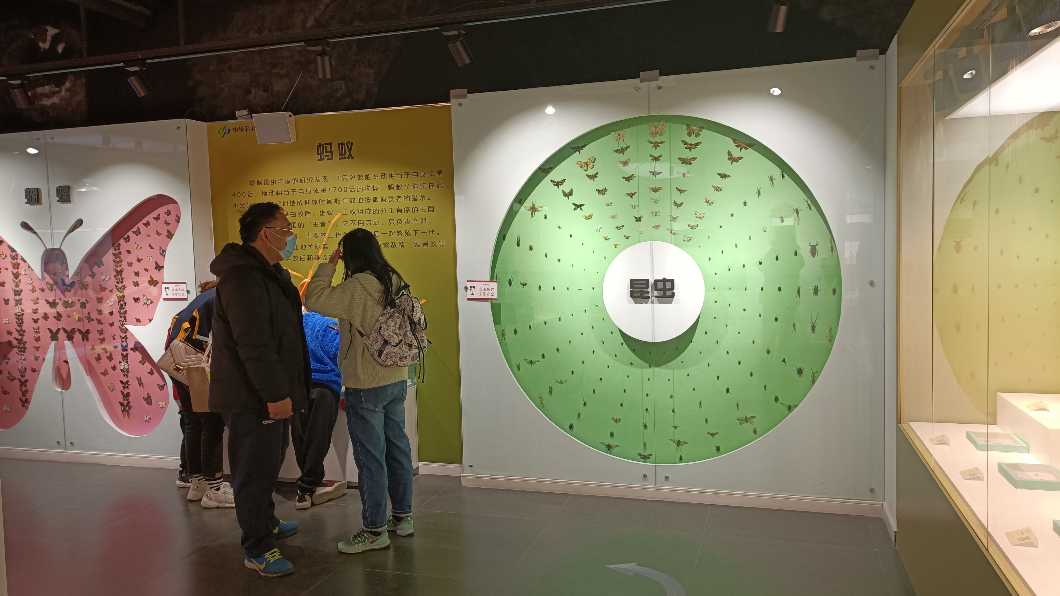 郑州室内旅游攻略必去景点,郑州景点室内游玩攻略