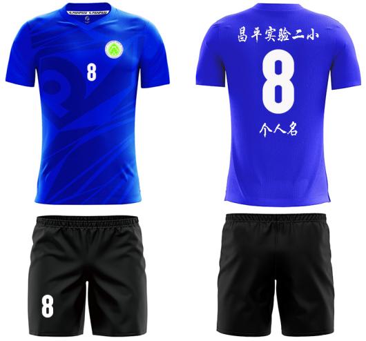 北京市昌平回龙观第二实验小学,北京昌平二实验小学