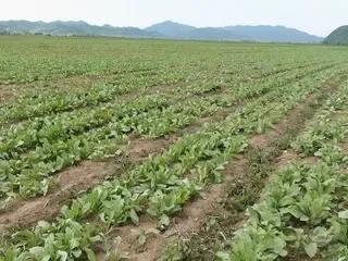 2022璧氶挶鍟嗘満鍐滄潙,鍐滄潙璧氶挶鍟嗘満