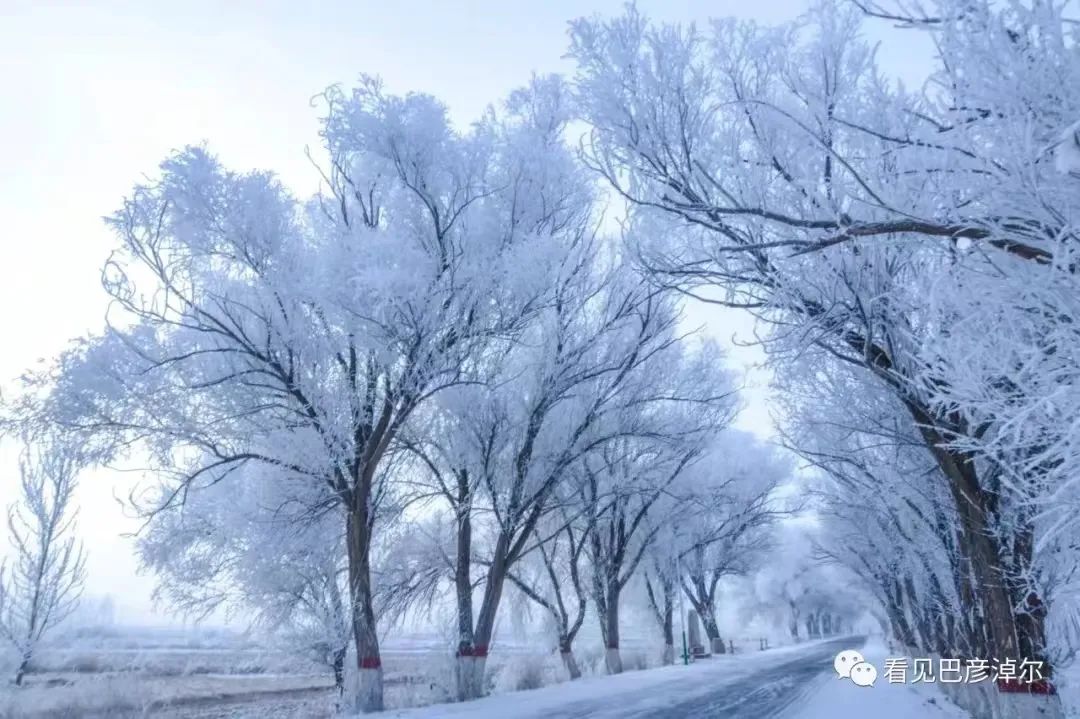 临河湿地公园冰雪世界,巴彦淖尔冰雪嘉年华乐园