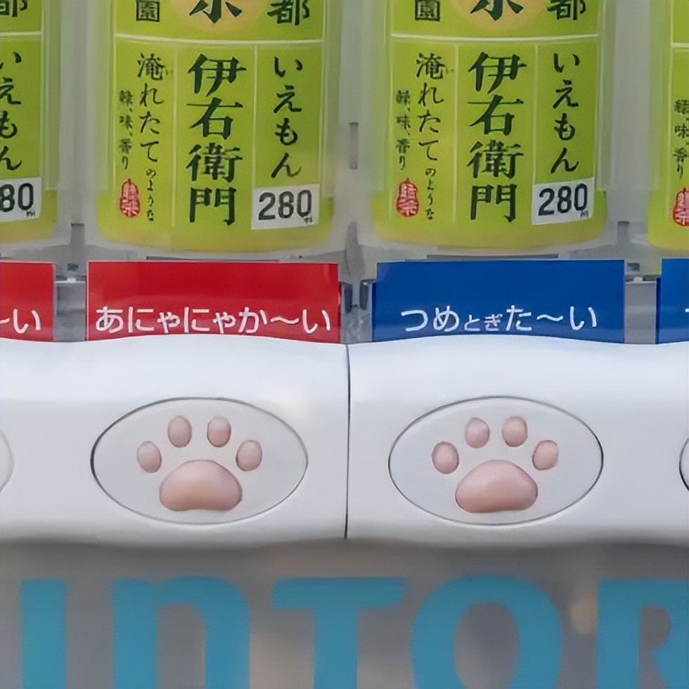 8.8国际猫咪日,日本猫的节日