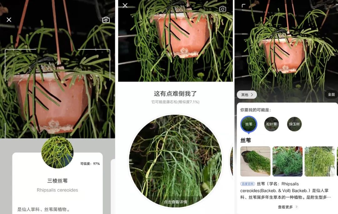 养花好物神器,花友必备神器