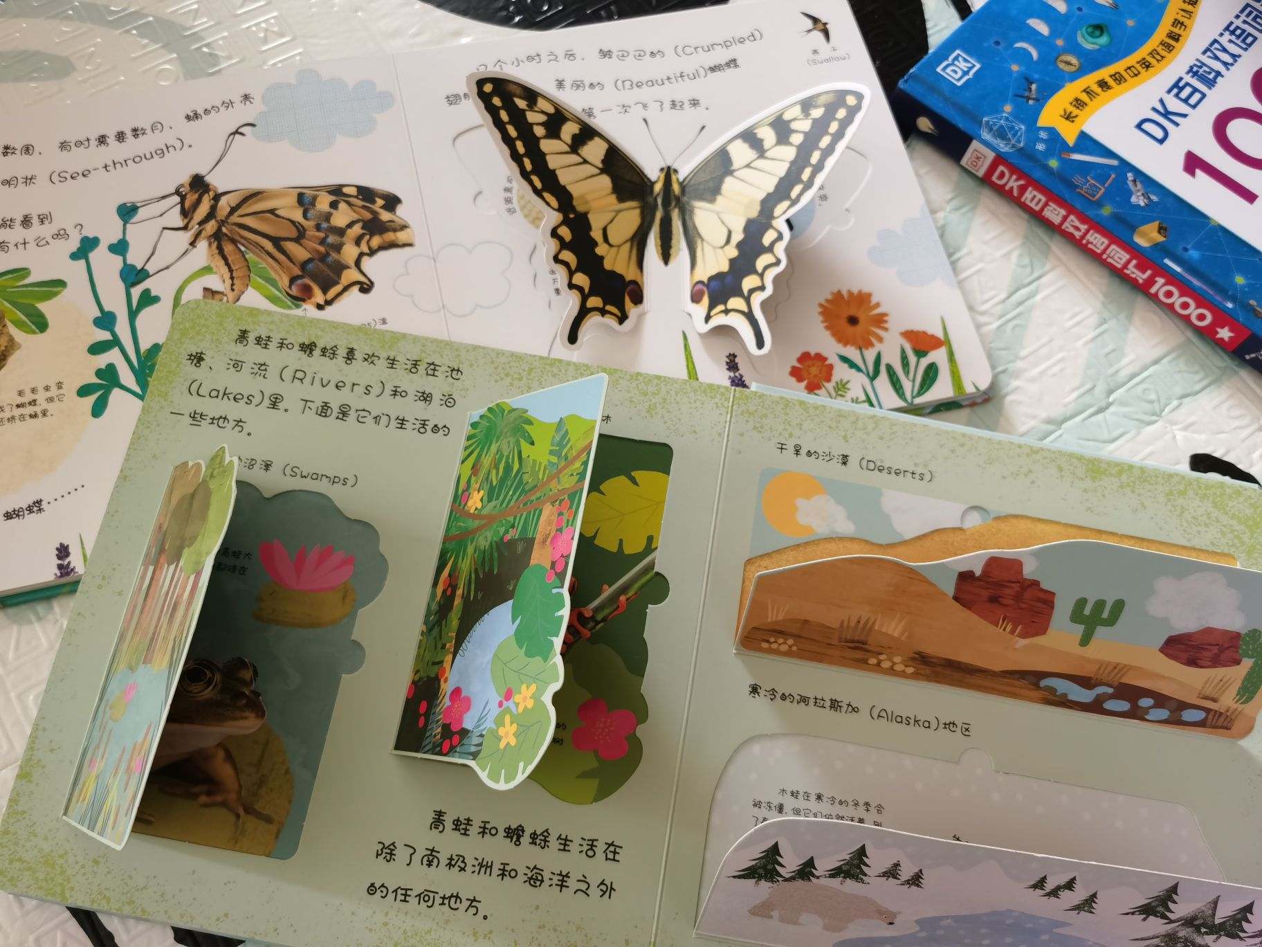 如何给孩子选英语启蒙书,如何教会孩子选择书