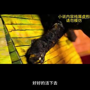 高启兰回京海找到强哥的信封。#狂飙2#高启兰