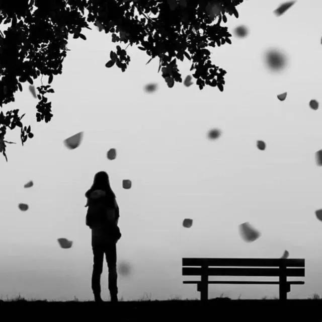 我们相信这个世上有真爱吗,我们该不该相信世上会有真爱