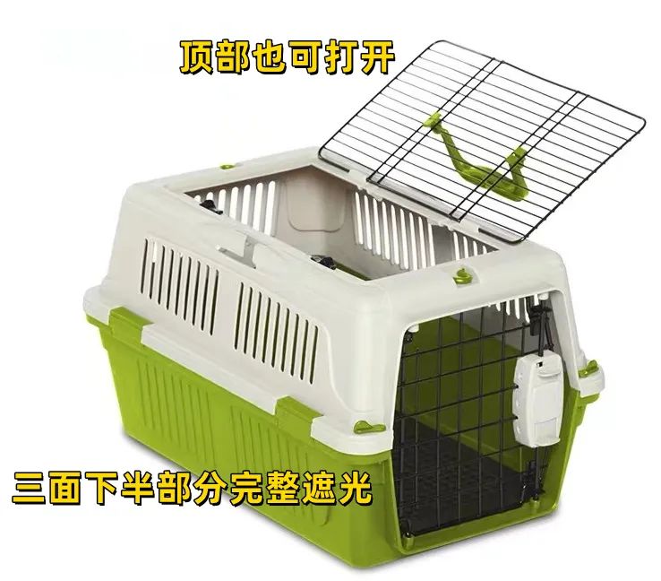 害死猫的网红饰品,盘点那些被人害死的网红猫