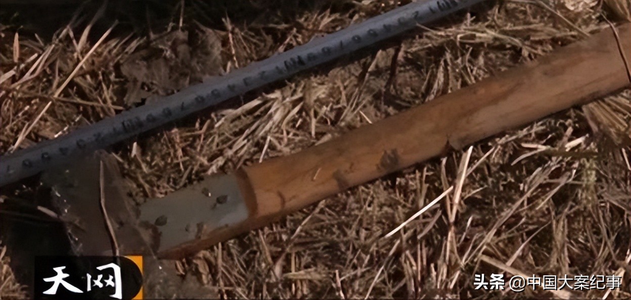 烟锁殡仪馆今日说法完整版,烟锁殡仪馆案